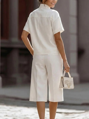Chic Stand Collar Shirt & Pants Set