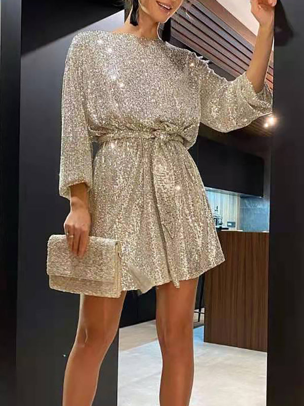 Sequined Fitted Waist Dress